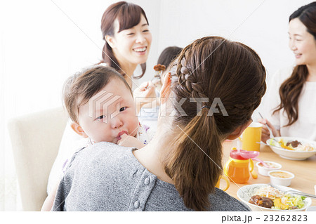 ママ友ランチ ママ友ランチ 23262823