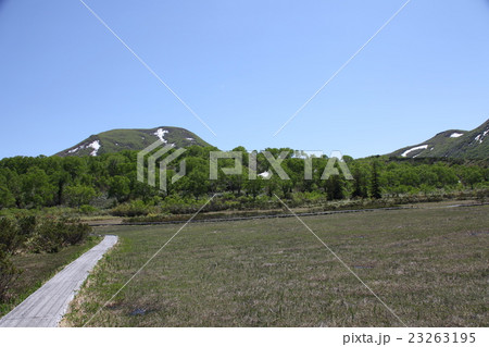 湿原_ニセコ高原湿原 湿原_ニセコ高原湿原 23263195