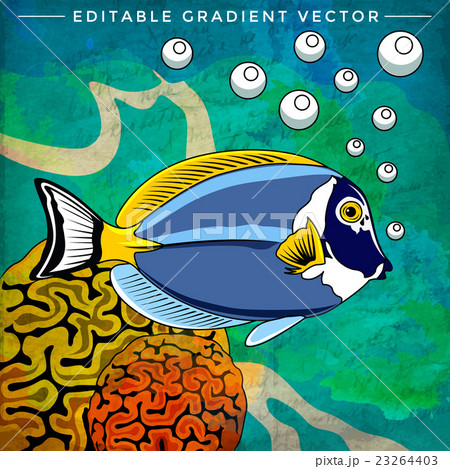 Colorful Aquarium Fish 23264403