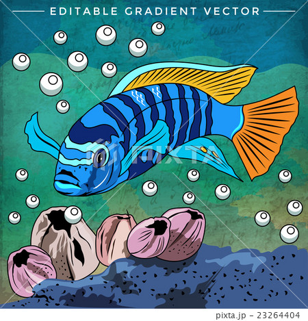 Colorful Aquarium Fish Colorful Aquarium Fish 23264404