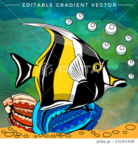 Colorful Aquarium Fish 23264406