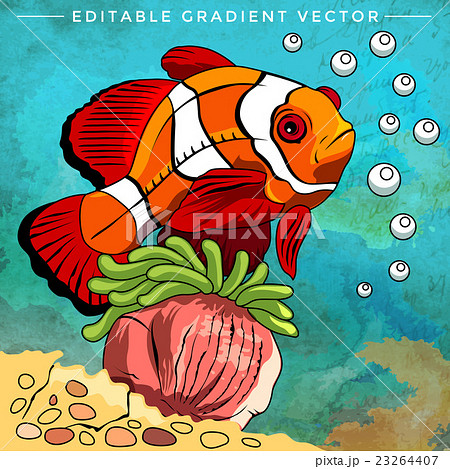 Colorful Aquarium Fish 23264407