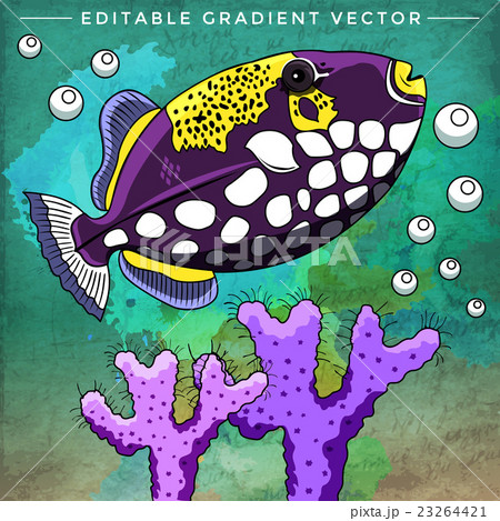 Colorful Aquarium Fish 23264421