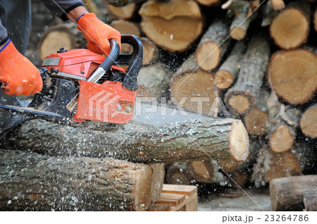 Chainsaw 23264786