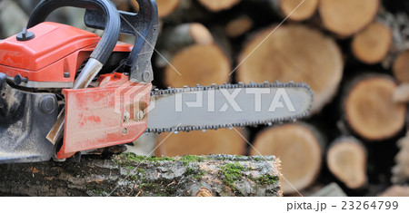 Chainsaw and tree 23264799