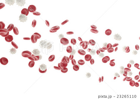 Red and white blood cells isolated on white 23265110