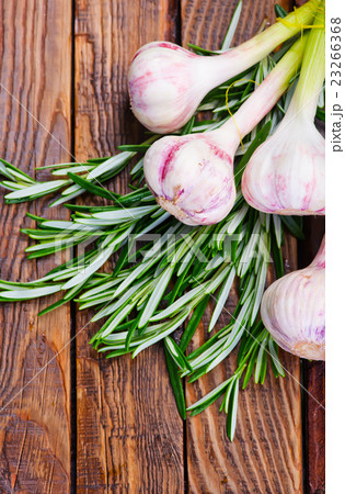 garlic and rosemary 23266368