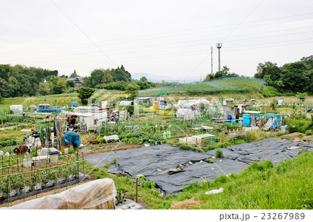 農園 23267989