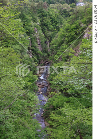 大深沢橋から見た新緑の鳴子峡 23268004