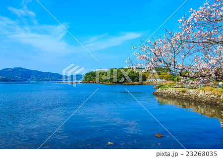 大村公園の桜 23268035