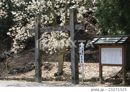 金剛證寺 23271325