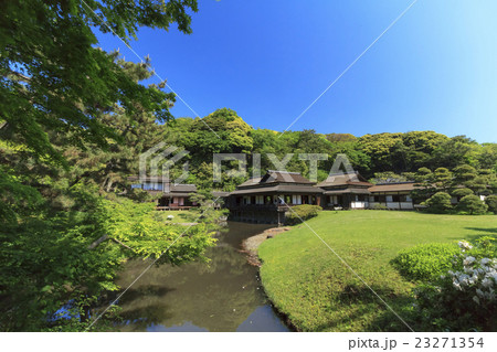 新緑眩しい三溪園 23271354
