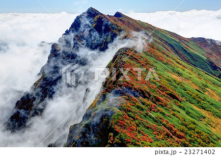 一ノ倉岳から見る紅葉の谷川岳の写真素材