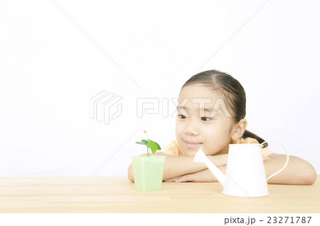 植物を世話する女の子 植物を育てる 女の子 小学生の写真素材