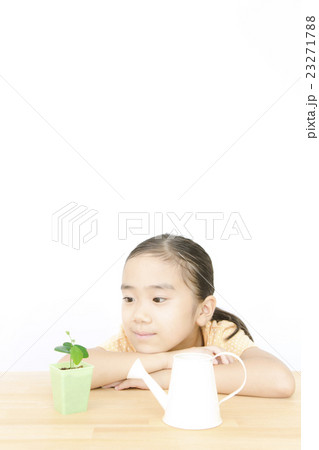 植物を世話する女の子　植物を育てる　女の子　小学生 23271788