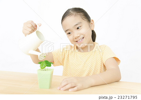 植物を世話する女の子　植物を育てる　女の子　小学生 23271795