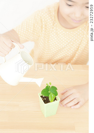 植物を世話する女の子　植物を育てる　パーツカット　ボディパーツ　ボディーパーツ 23272959