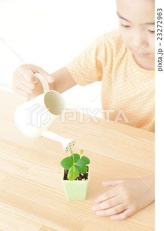 植物を世話する女の子 植物を育てる パーツカット ボディパーツ ボディーパーツの写真素材