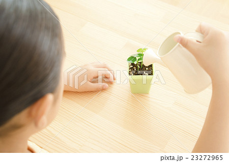 植物を世話する女の子 植物を育てる パーツカット ボディパーツ ボディーパーツの写真素材
