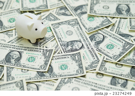 アメリカドル紙幣と豚の貯金箱の写真素材