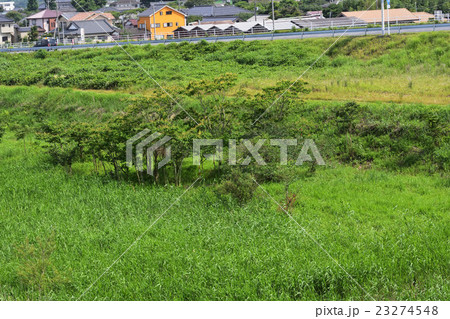 国道356号線近くの風景 国道356号線近くの風景 23274548