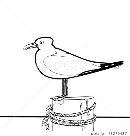 Sea gull sitting on the pier Sea gull sitting on the pier 23276427