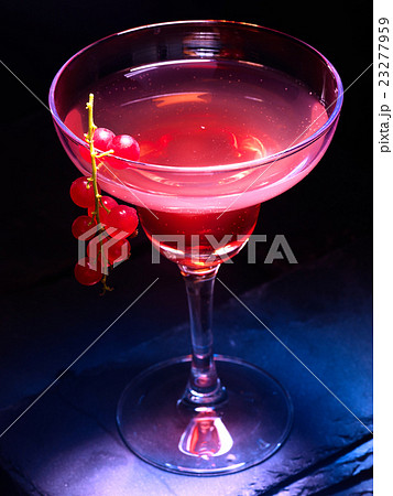 Red currant cocktail on black background 23277959