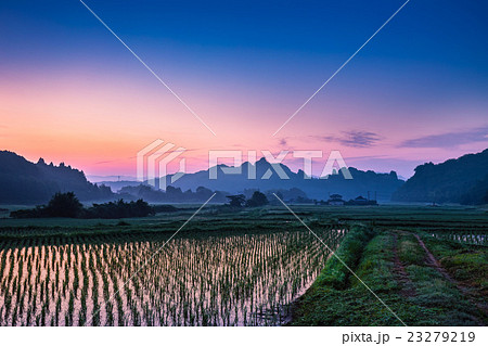 早朝の田染荘 早朝の田染荘 23279219