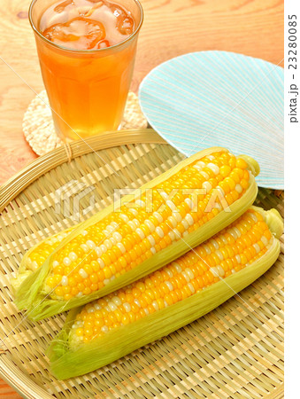 夏の茹でたトウモロコシと麦茶と団扇。夏イメージ。 夏の茹でたトウモロコシと麦茶と団扇。夏イメージ。 23280085