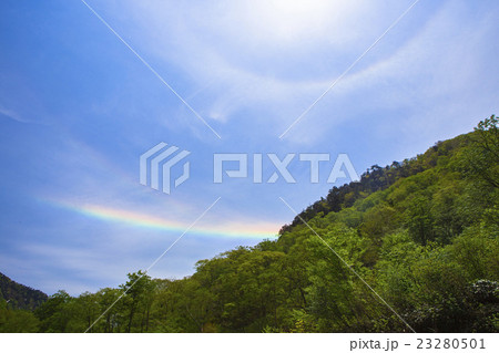 新緑と環天頂アーク 新緑と環天頂アーク 23280501