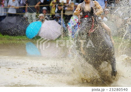 宮崎県美郷町西郷地区田代神社の980年の伝統行事の御田祭で神馬に乗り代搔きをする神事 23280540