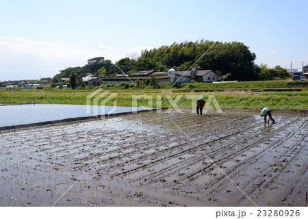 二人で田植する風景 二人で田植する風景 23280926