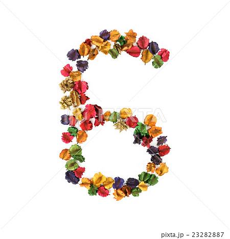 Alphabet number 6, Dried flower isolated Alphabet number 6, Dried flower isolated 23282887