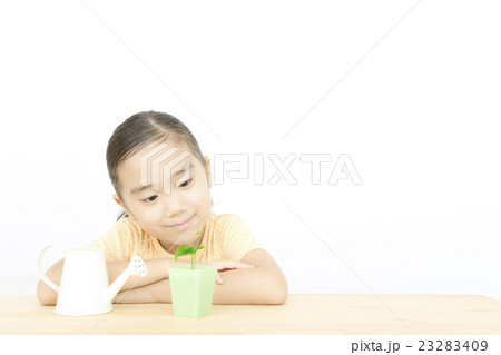 植物を世話する女の子　植物を育てる　女の子　小学生 23283409