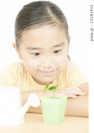 植物を世話する女の子 植物を育てる 女の子 小学生の写真素材