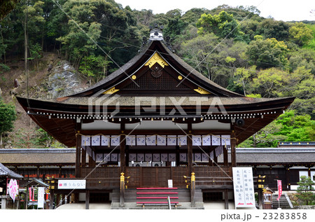 松尾大社　拝殿（2016.4） 23283858