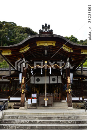 松尾大社 社殿(2016.4) 松尾大社 社殿(2016.4) 23283861