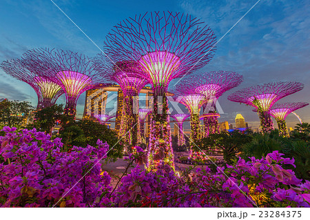 Night view of The Supertree at Gardens by the Bay 23284375