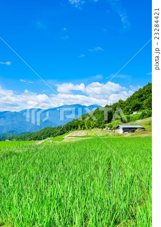 初夏の農村風景 (24) 23284421