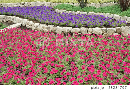 石積花壇 02 石積花壇 02 23284797