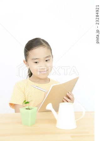 植物を観察する女の子　植物を育てる　女の子　小学生 23284921