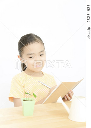 植物を観察する女の子　植物を育てる　女の子　小学生 23284923