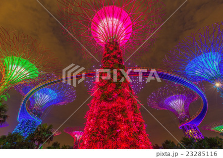 Night view of Gardens by the Bay 23285116