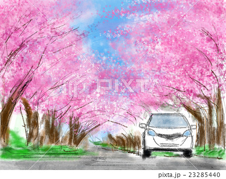 桜並木 イラストのイラスト素材 23285440 Pixta