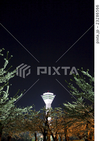 函館五稜郭桜夜景 23286566