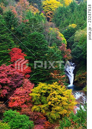 横谷渓谷 23287818