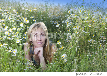 young woman in the field of camomiles.. young woman in the field of camomiles.. 23288346