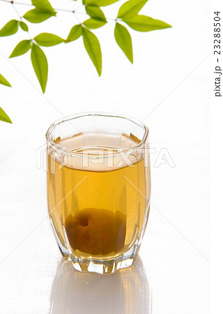 梅酒 梅酒 23288504