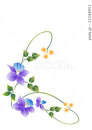 桔梗の花 たて のイラスト素材