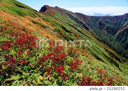 上越国境・茂倉岳付近から見る谷川岳 上越国境・茂倉岳付近から見る谷川岳 23290252